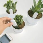 سنسور گل و گیاه مدل Flower Care HHCCJCY01HHCC - تصویر 6
