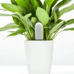 سنسور گل و گیاه مدل Flower Care HHCCJCY01HHCC - تصویر 8