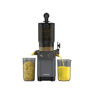 آبمیوه گیر و عصاره گیر برقی گلتیج مدل Gaoltage VitaFlow Slow Juicer 200W JM02